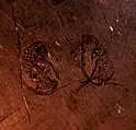 porringer makers marks.2.webp