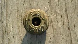 H&B button02.webp