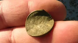 mower dime01.webp