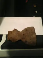image-2256103781.webp