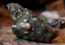 Rock6.webp