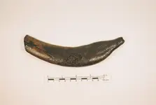 MUSEUM AND MY COLLECTION 228.webp