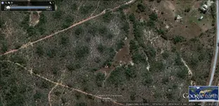 Area 1.webp