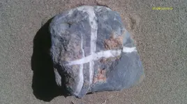 IMAG0014 (8).webp