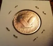 Standing liberty back.webp