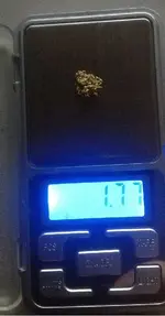 1.77gr.webp