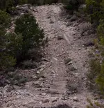 Trip050413 063.webp