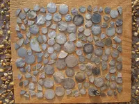 149 colonial silver coins.webp