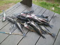 100_0036.webp