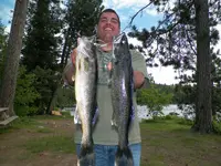 100_0049.webp