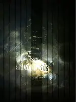 image-2408682362.webp