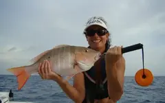 image-4259457693.webp