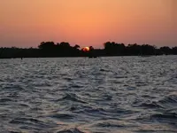 image-306550438.webp