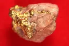 gold-in-rose-quartz1.webp