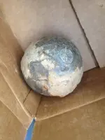 cannonball.webp