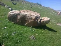 ERG0028.webp