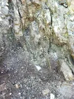image-1010658777.webp