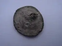 celticsilver back.webp