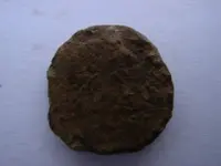 unknown2.webp