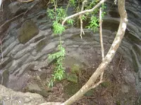 DSC03610.webp