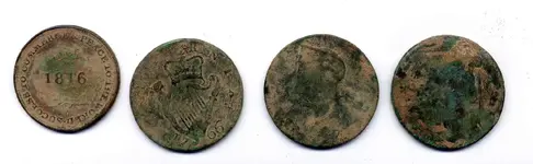 coin field.webp