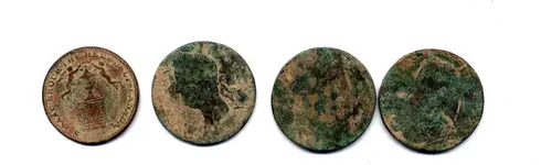 coin field 2.webp