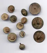 coin field butts.webp