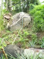 P4290045.webp