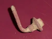 3-10-07 find 3.webp