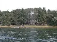 LB.webp