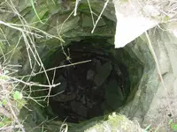 farm pics 001.webp