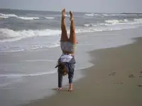Hand Stand.webp