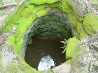 farm pics 004.webp