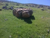 ERG0032.webp