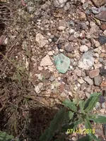 100_2371.webp