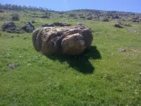 ERG0033.webp