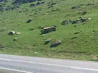 ERG0035.webp