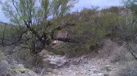 IMAG0743 (3).webp