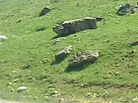 ERG0039.webp