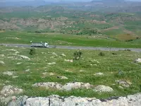 ERG0087.webp