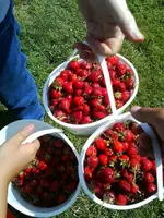 130623_0000.webp