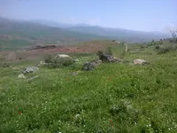 ERG0088.webp