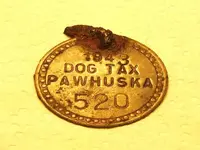 DOGTAGS 006.webp
