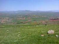 ERG0089.webp