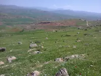 ERG0090.webp