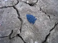 014.webp