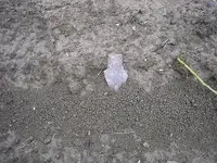 Picture%201172.webp