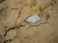 Picture%201811.webp