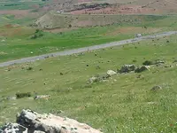 ERG0095.webp