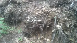 IMG_20130616_092116_414.webp
